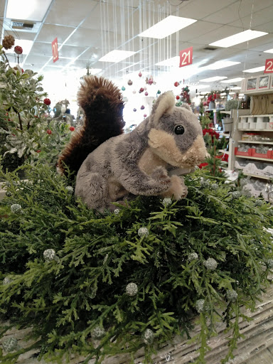 Craft Store «Artco Crafts & Frame Shop», reviews and photos, 5401 6th Ave #401, Tacoma, WA 98406, USA