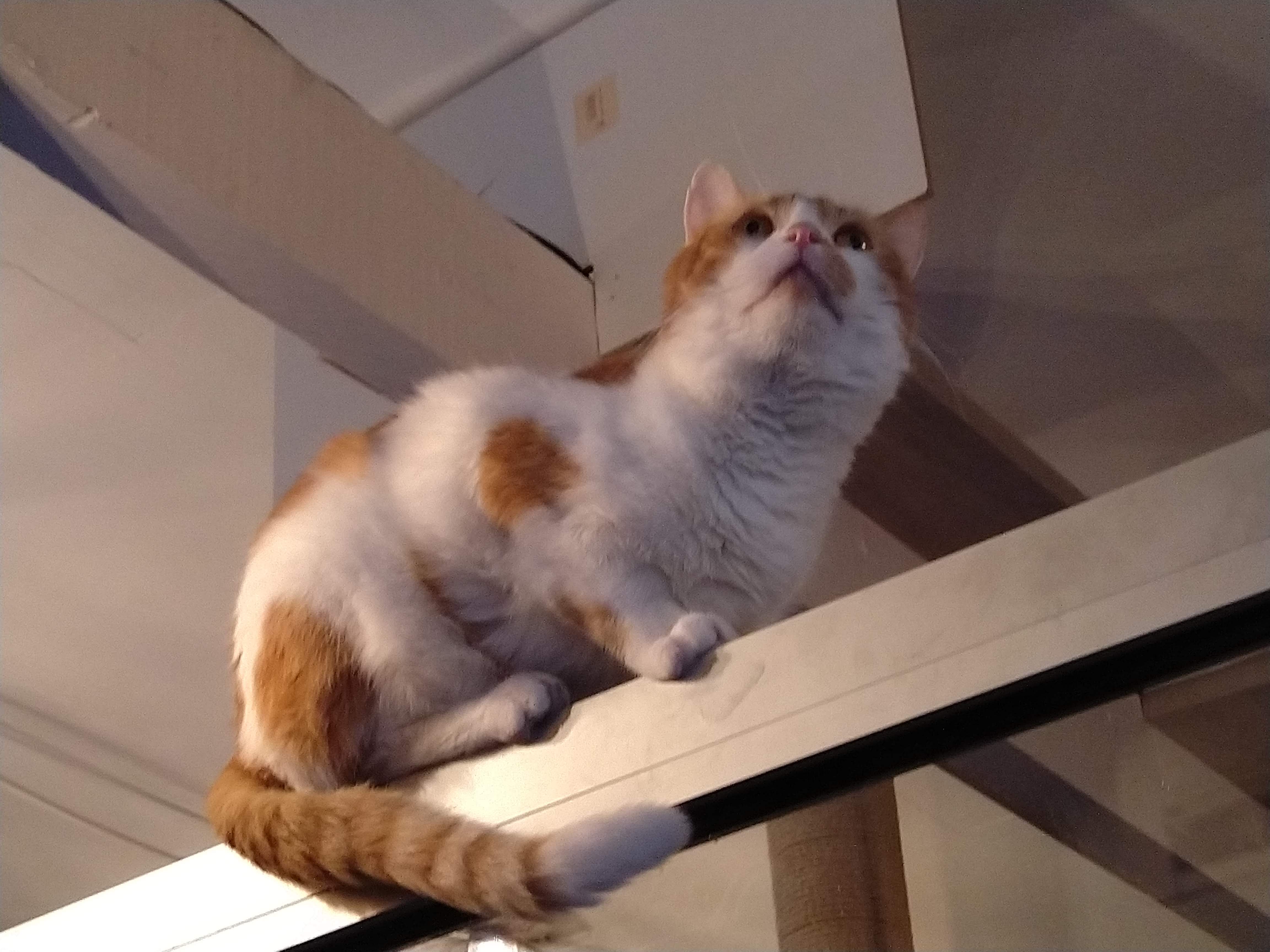 Photo n° 1 de l'avis de M... fait le 23/06/2019 à 19:26