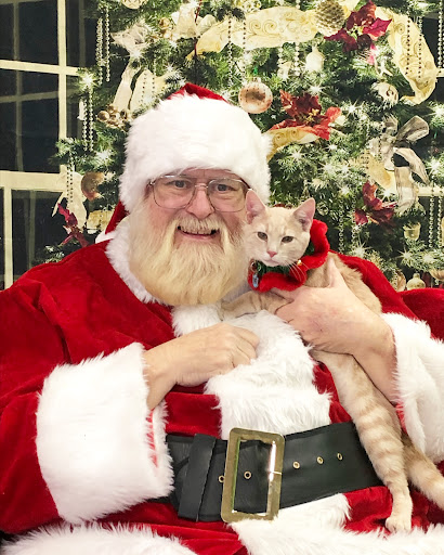 Pet Supply Store «Unleashed the Dog & Cat Store», reviews and photos, 7414 Creedmoor Rd, Raleigh, NC 27613, USA