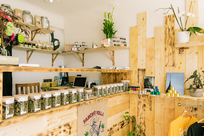 StickaBush-cbd-shop Cagnes sur Mer à Cagnes-sur-Mer