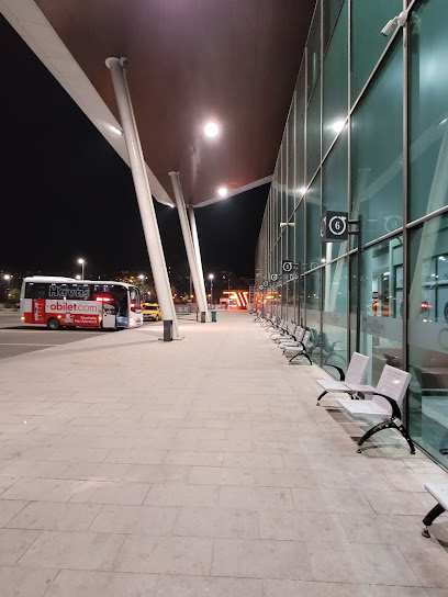 Ordu Şehirler Arası Otobüs Terminali