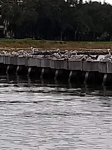 Lighthouse «Harbour Town Lighthouse», reviews and photos, 149 Lighthouse Rd, Hilton Head Island, SC 29928, USA