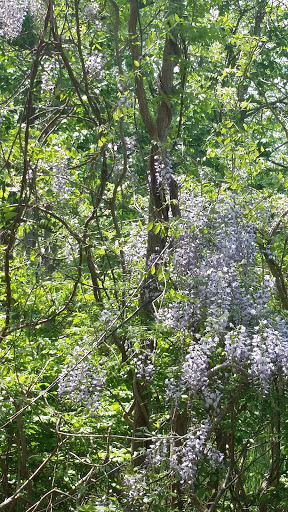 Nature Preserve «Seatuck Environmental Association», reviews and photos, 550 S Bay Ave, Islip, NY 11751, USA