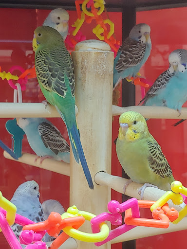 Pet Supply Store «Petco Animal Supplies», reviews and photos, 32074 Gratiot Ave, Roseville, MI 48066, USA