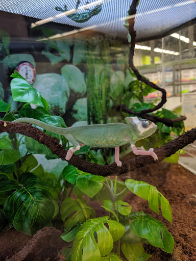 Pet Supply Store «Petco Animal Supplies», reviews and photos, 2358 S Range Ave, Denham Springs, LA 70726, USA