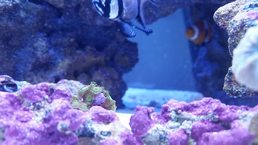 Video Game Store «GameStop», reviews and photos, 12779 Washington Twp Blvd, Waynesboro, PA 17268, USA