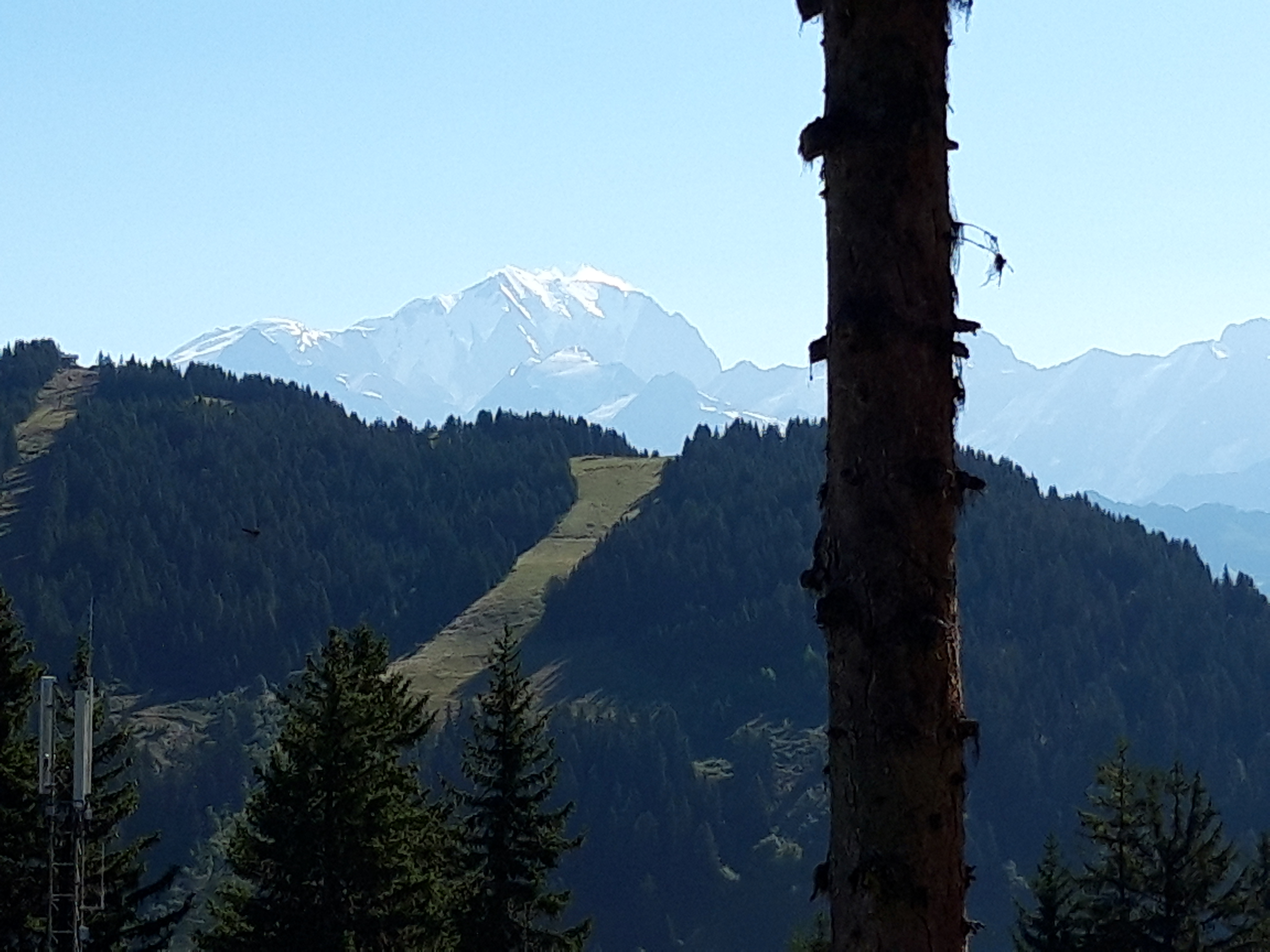 Photo n° 4 de l'avis de 2CV.l fait le 11/08/2019 à 15:17