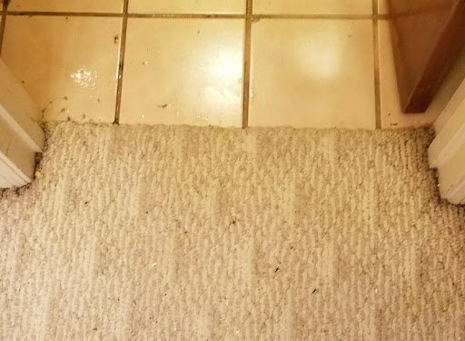 Plumber «Super Plumbers», reviews and photos, 4588 Old Troup Hwy #20, Tyler, TX 75707, USA