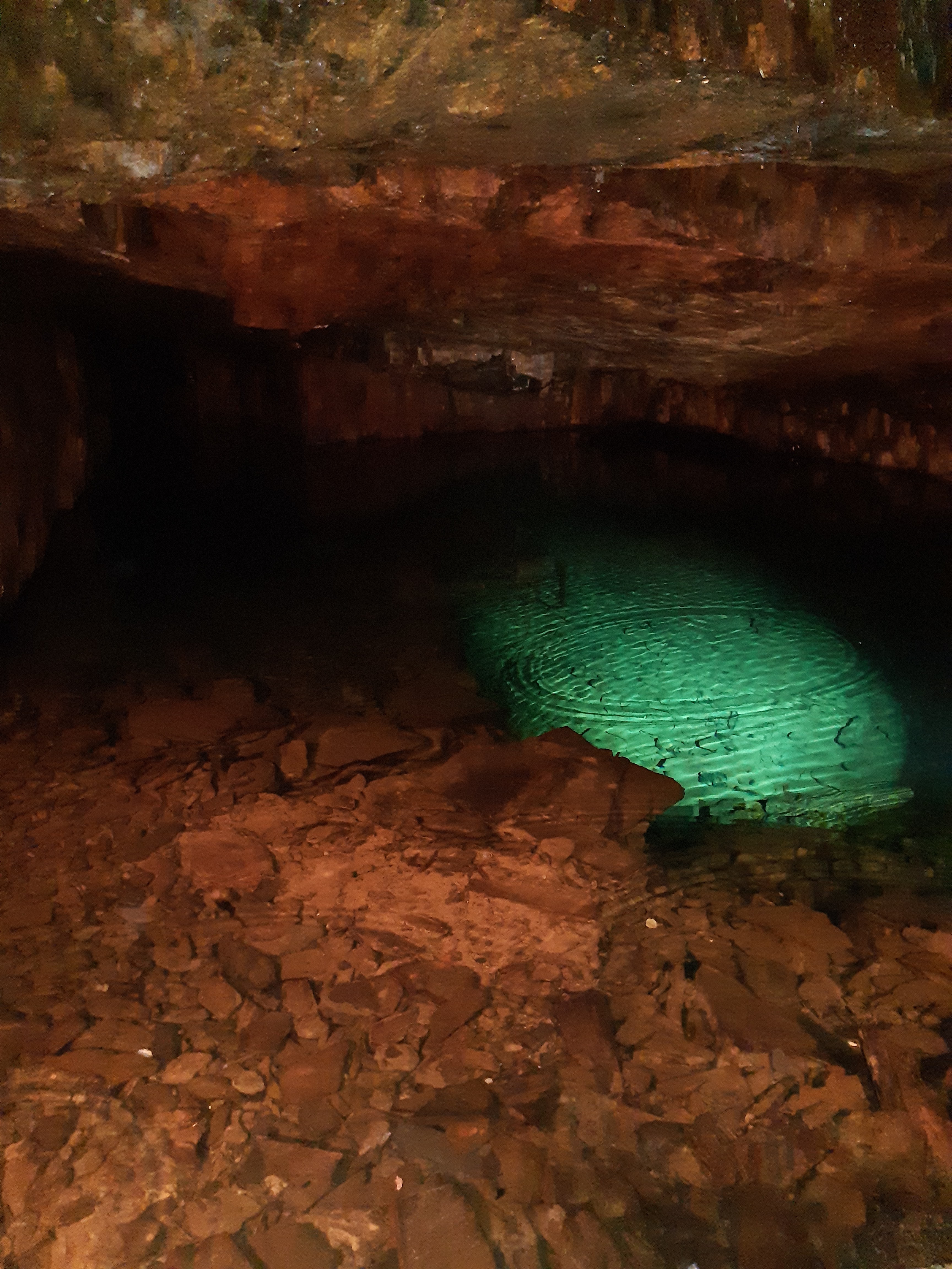 Photo n° 1 de l'avis de Marion.o fait le 11/08/2019 à 14:20