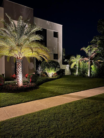 Tampa Nightscapes and Design