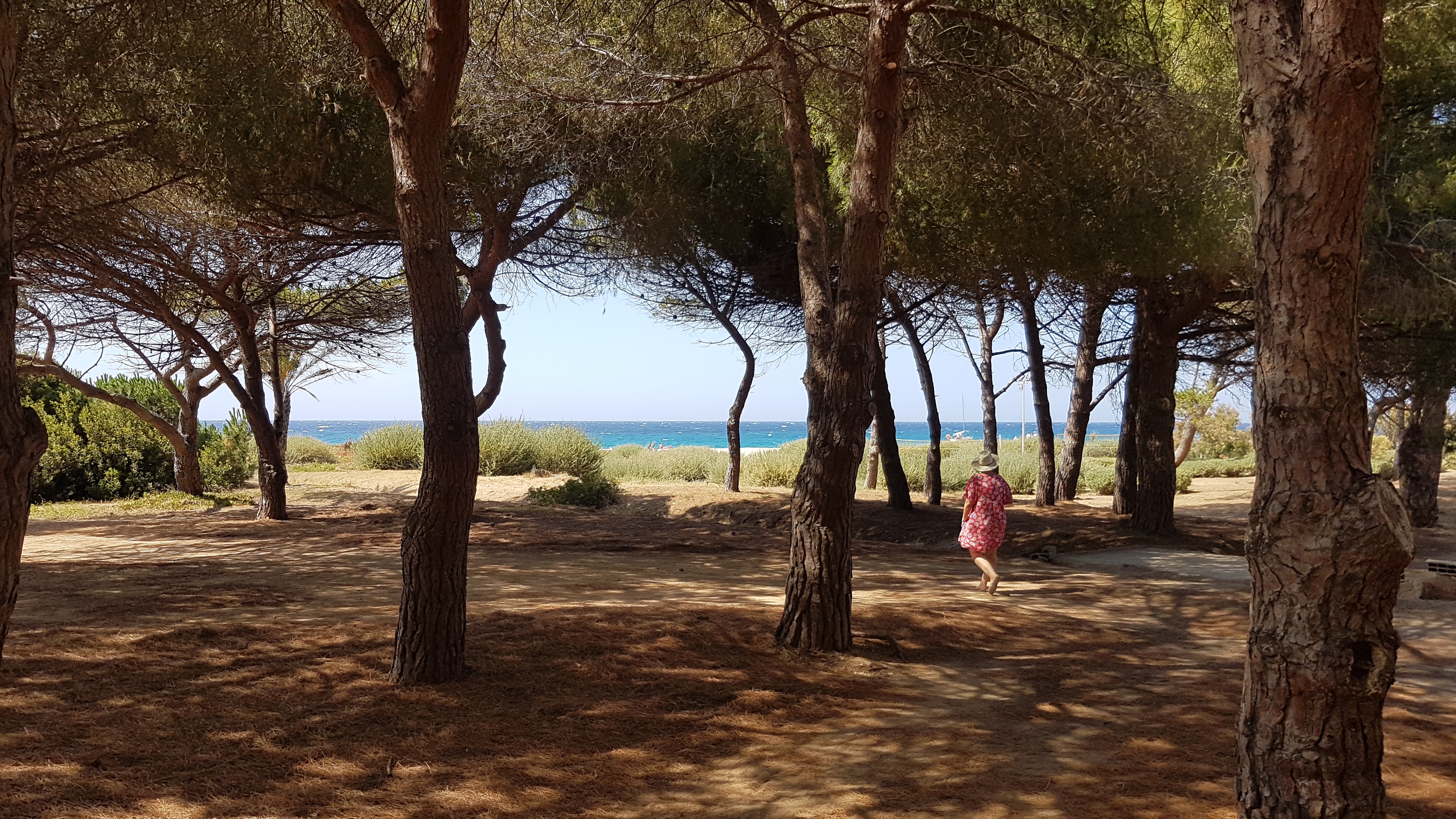 Photo n° 3 de l'avis de Luc.a fait le 14/07/2020 à 16:32