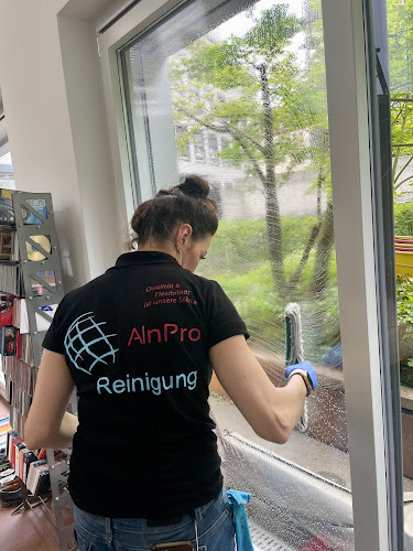 AlnPro Reinigung