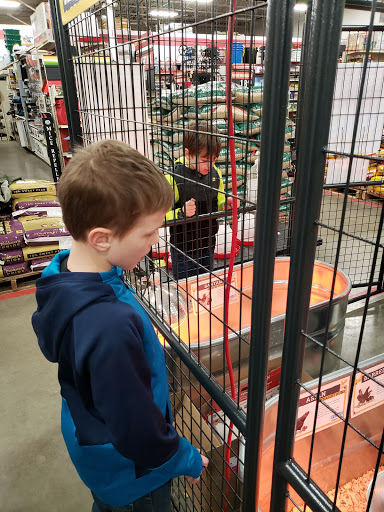 Home Improvement Store «Tractor Supply Co.», reviews and photos, 5387 Scottsville Rd, Bowling Green, KY 42104, USA