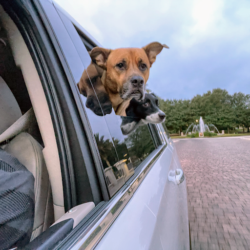 Insurance Agency «Michael Nickas - State Farm Insurance Agent», reviews and photos