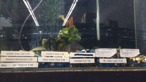 Pet Supply Store «Pet Club Emeryville», reviews and photos, 3535 Hollis St, Oakland, CA 94608, USA
