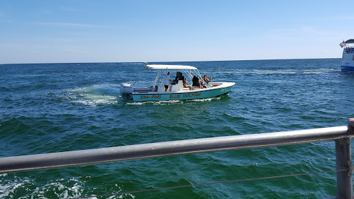 Tourist Attraction «Shell Island Beach», reviews and photos, 4607 State Park Ln, Panama City, FL 32408, USA