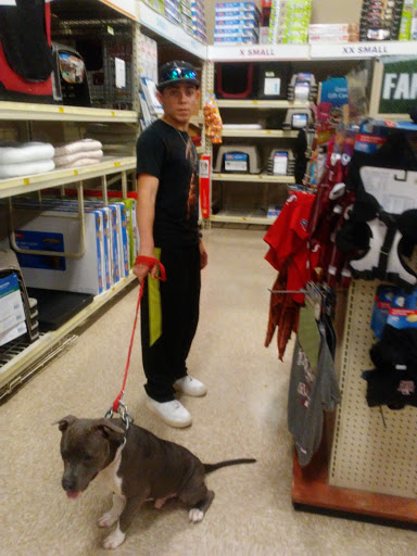 Pet Supply Store «PetSmart», reviews and photos, 19175 Lyndon B Johnson Fwy, Mesquite, TX 75150, USA