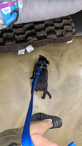 Pet Supply Store «Pet Supplies Plus», reviews and photos, 1970 Portage Trail, Cuyahoga Falls, OH 44223, USA