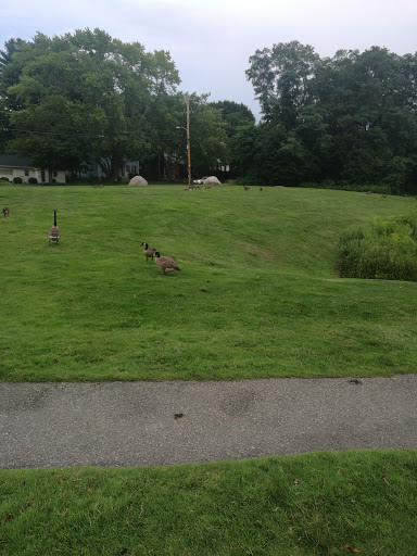 Mexican Restaurant «Margaritas Mexican Restaurant», reviews and photos, 438 Bedford St, Lexington, MA 02420, USA