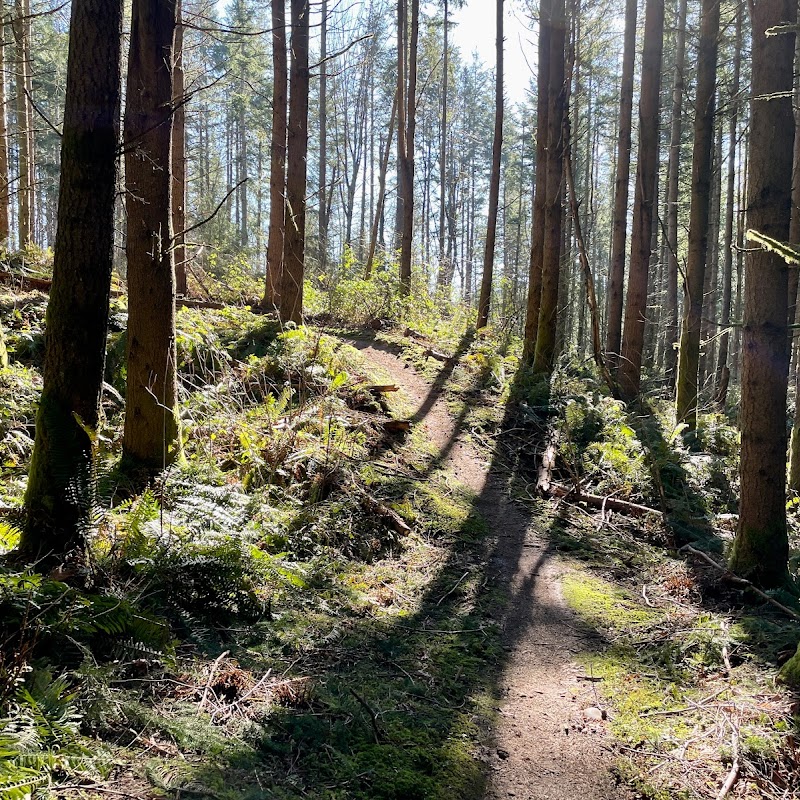 Henry's Ridge Natural Area