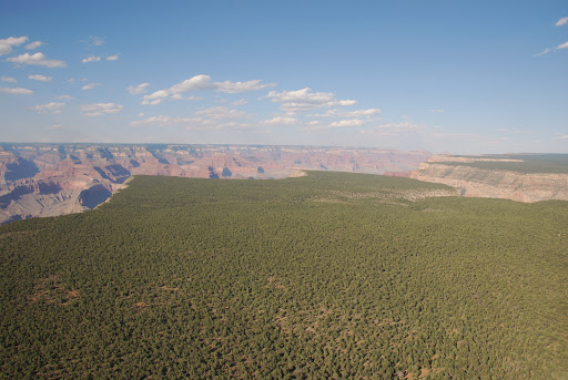 Airport «Grand Canyon National Park Airport», reviews and photos