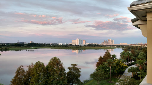 Supermarket «Publix Super Market at Lake Cay Commons», reviews and photos, 9930 Universal Blvd, Orlando, FL 32819, USA