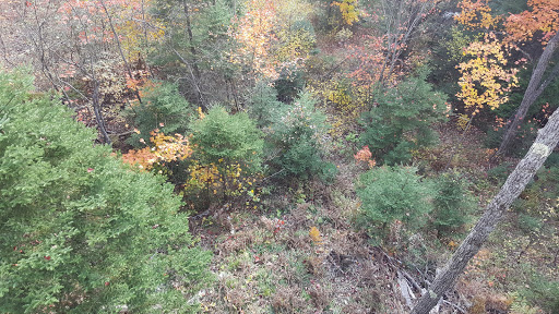 Museum «Michigan Iron Industry Museum», reviews and photos, 73 Forge Rd, Negaunee, MI 49866, USA