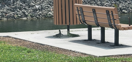 Park «A.D. (Doug) Barnes Park», reviews and photos, 3401 SW 72nd Ave, Miami, FL 33155, USA