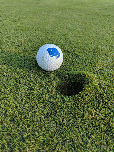 American Restaurant «Terry Hills Golf Course, Restaurant and Banquet Facility», reviews and photos, 5122 Clinton Street Rd, Batavia, NY 14020, USA