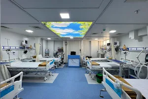 LIFELINE ICU - Emergency 24 X 7, Best ICU & Hospital in Ahmedabad | Physician | Gynecologist | Orthopaedic | Urologist image