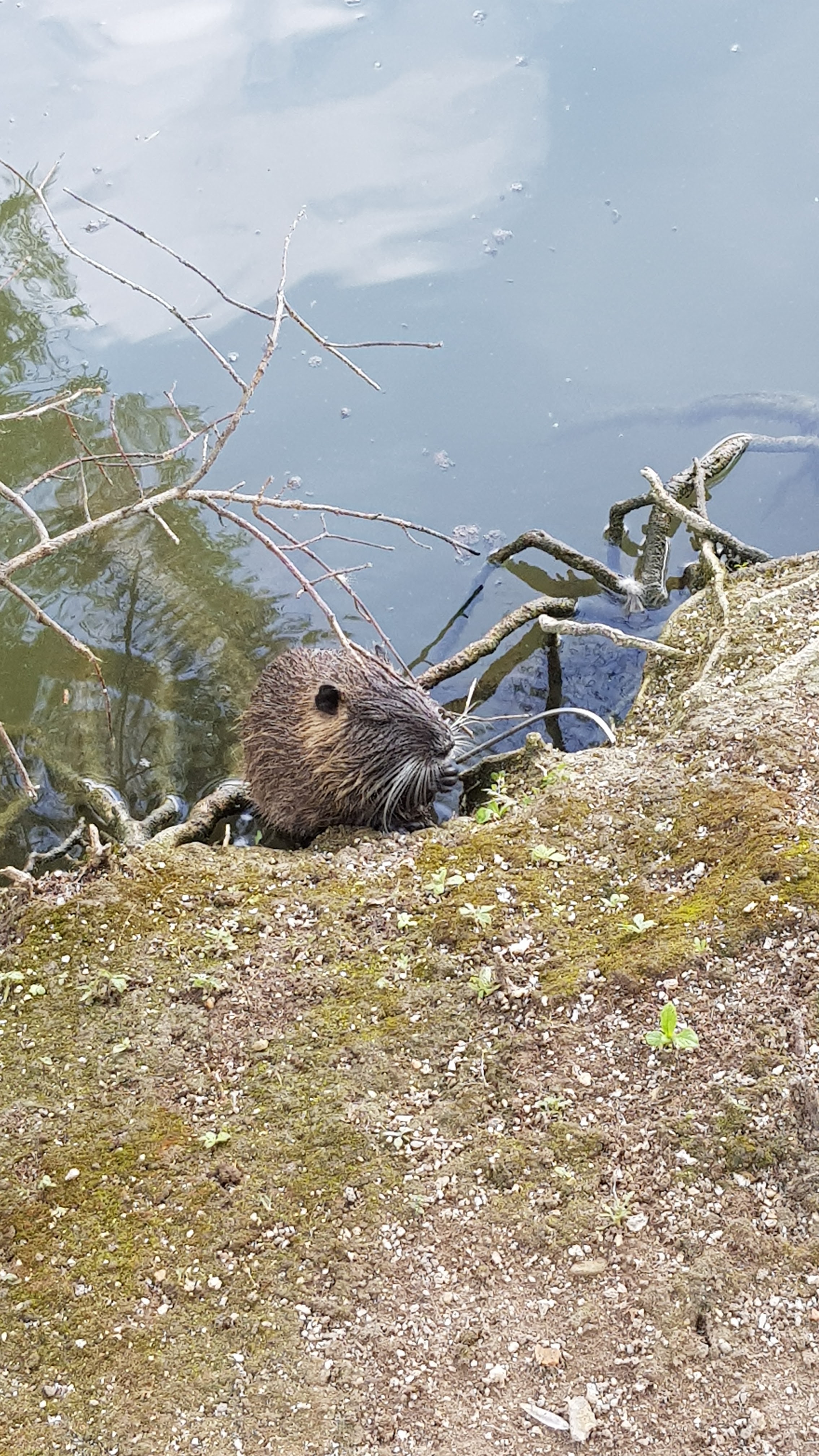 Photo n° 6 de l'avis de Marie.o fait le 30/08/2018 à 15:28