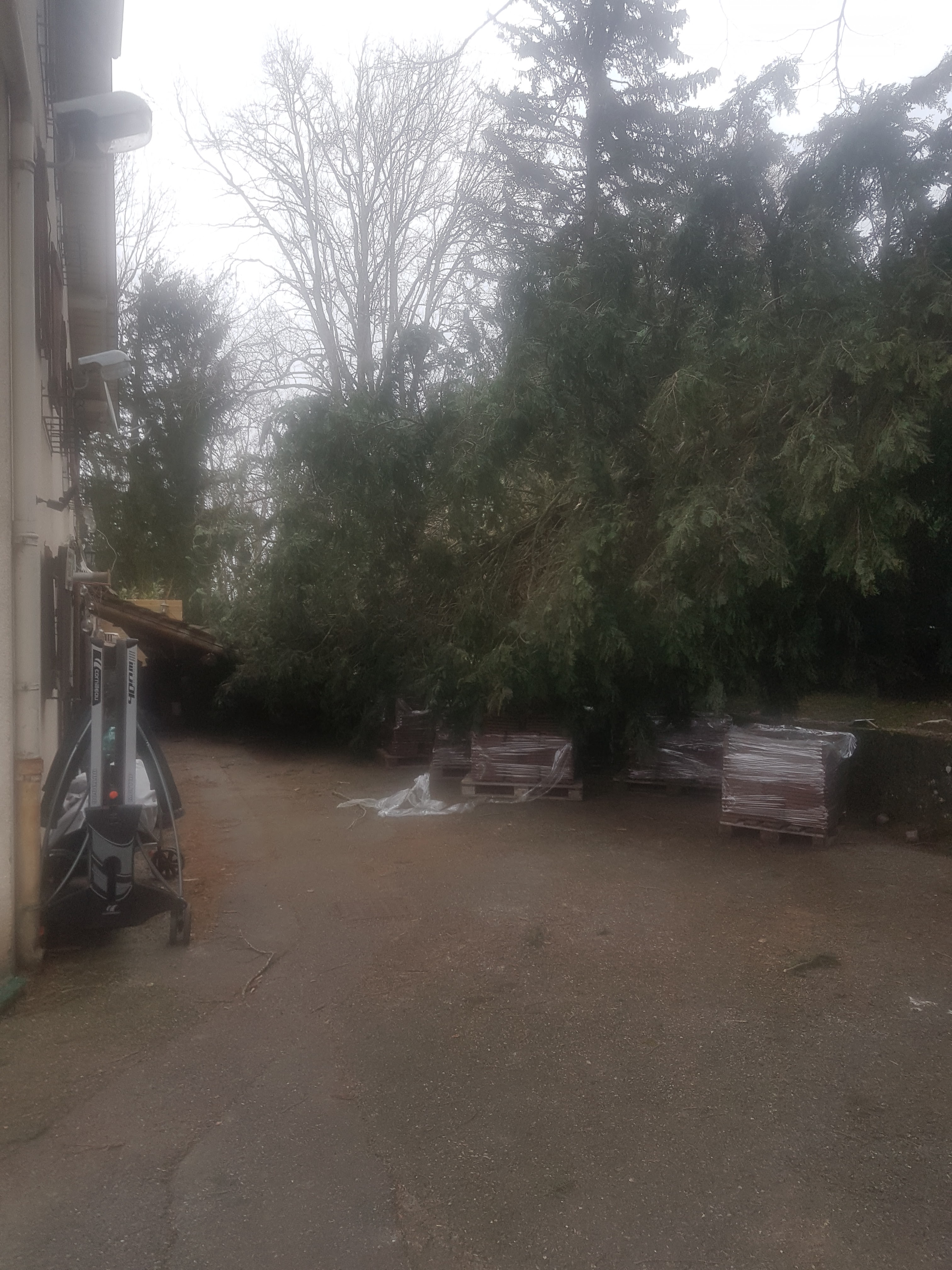Photo n° 2 de l'avis de Gerard.e fait le 01/03/2023 à 15:49