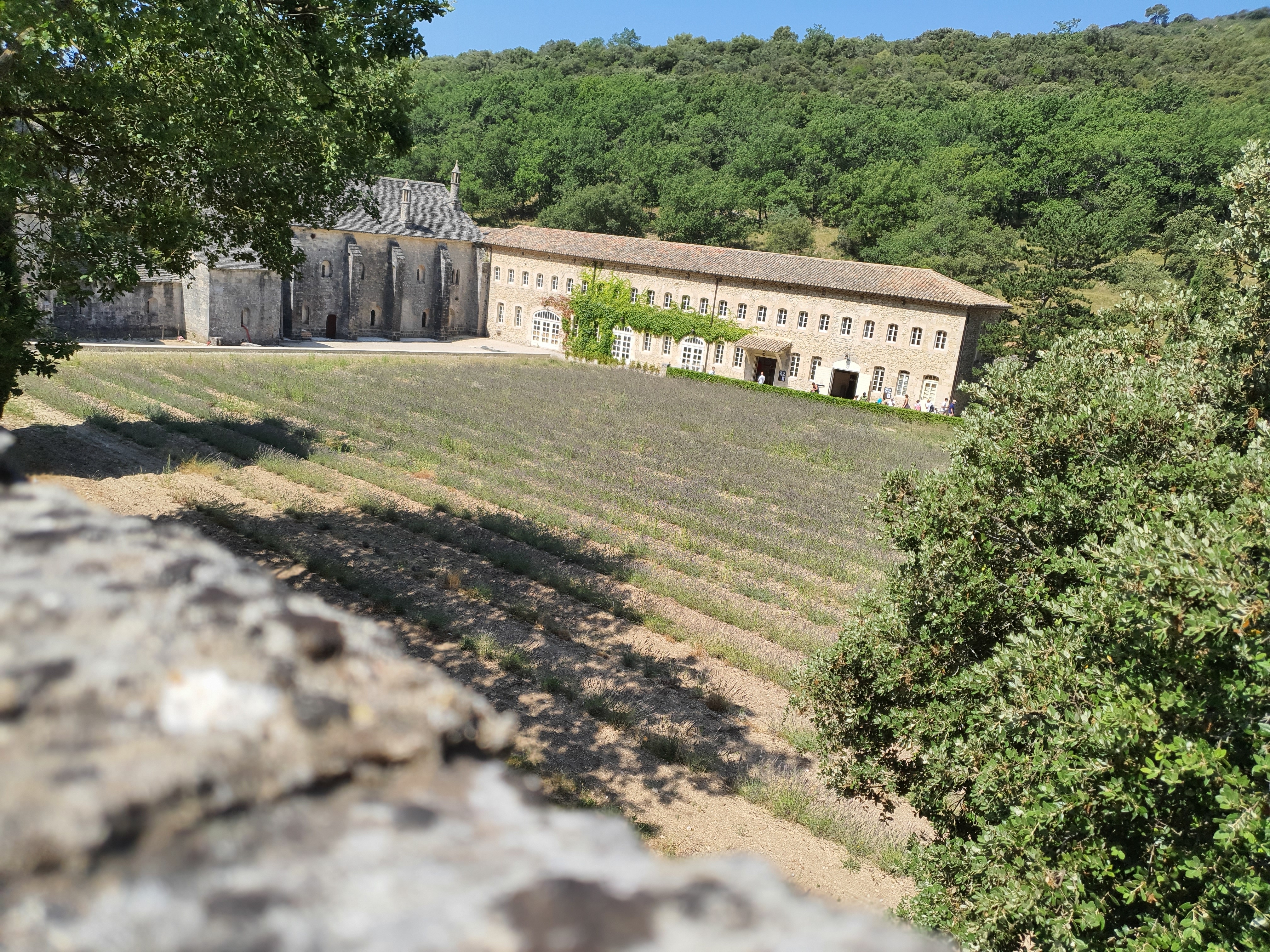 Photo n° 2 de l'avis de Christophe.r fait le 29/07/2020 à 11:11