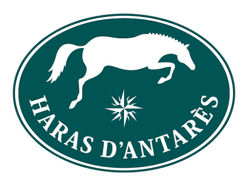 Haras d'Antares à Lesterps