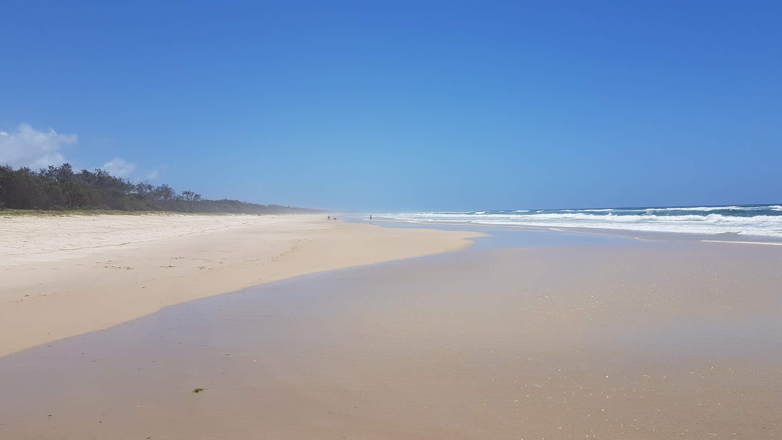 Photo de Pottsville Beach avec rivage droit, long