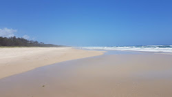 Pottsville Beach'in fotoğrafı düz ve uzun ile birlikte