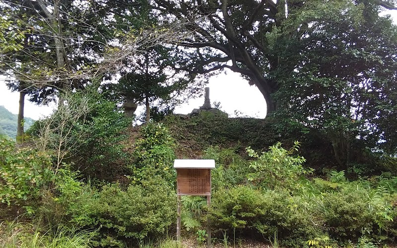 香川の保存木「西の宮のツブラジイ」
