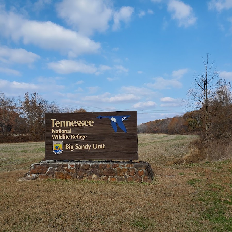 Big Sandy Unit Tennessee National Wildlife Refuge