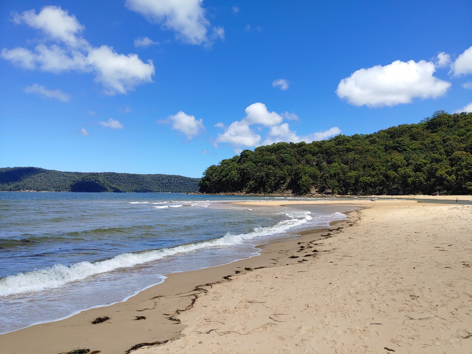 Fotografie cu Patonga Beach - locul popular printre cunoscătorii de relaxare