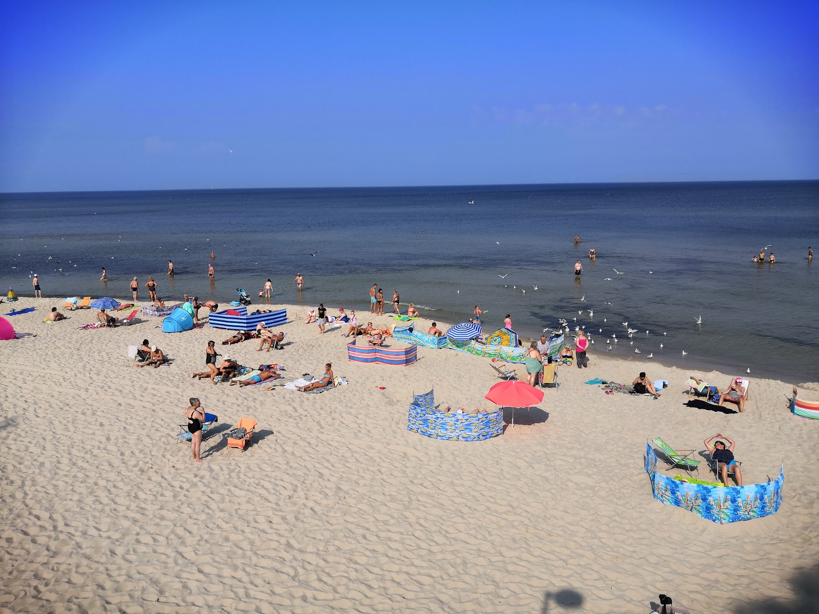 Foto av Plaza Zachodnia med lång rak strand