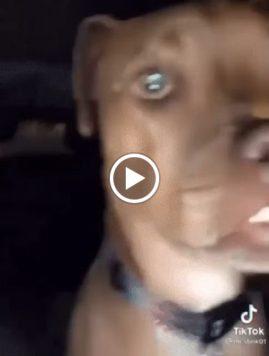 Hair Salon «Supercuts», reviews and photos, 1601 W Main St, Willimantic, CT 06226, USA