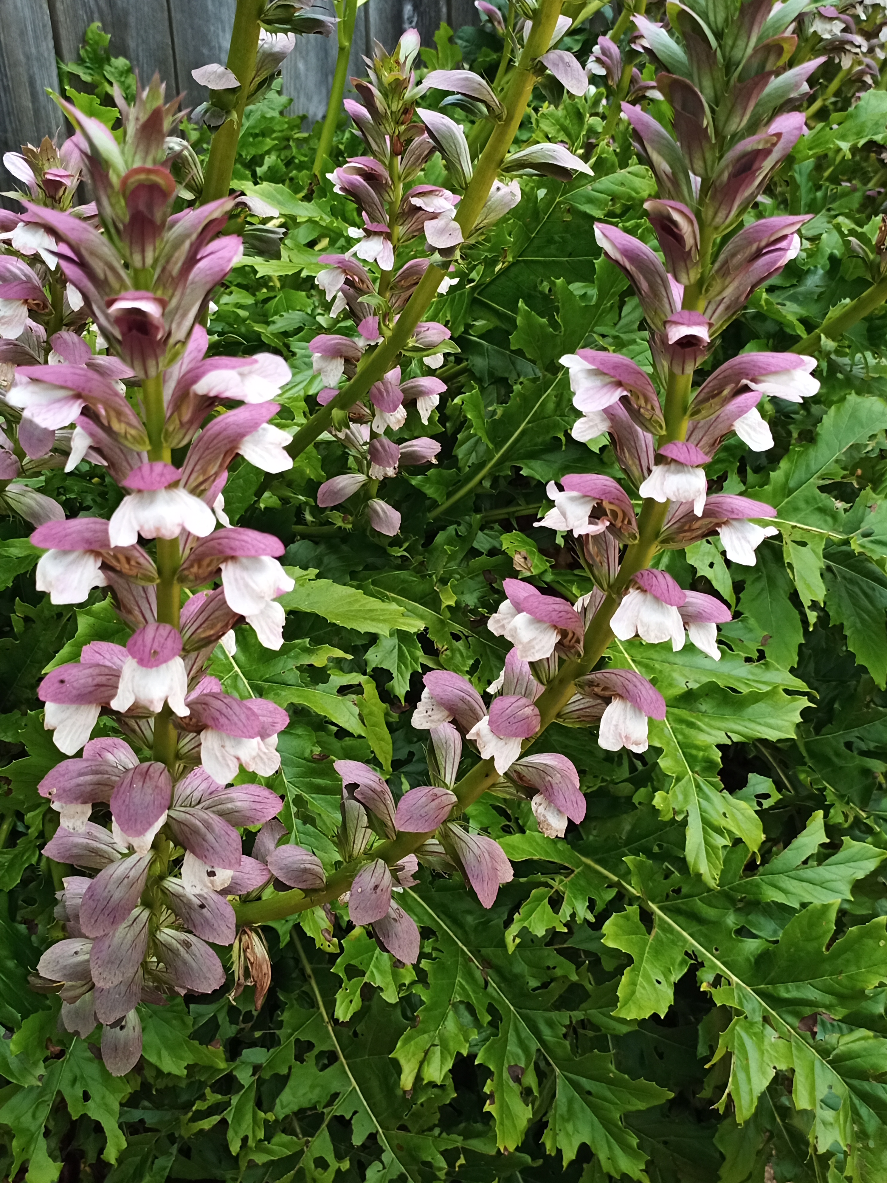 Photo n° 8 de l'avis de Maria.e fait le 09/07/2021 à 14:37