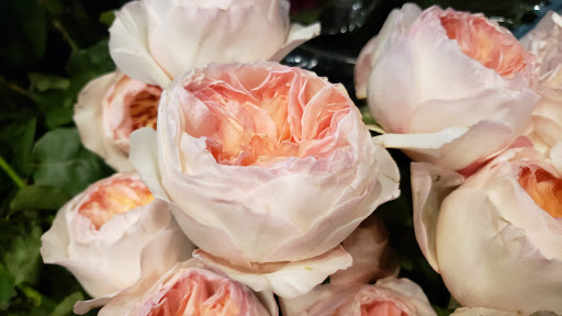 Florist «Mia fiori», reviews and photos, 5840 Legacy Cir D165, Plano, TX 75024, USA