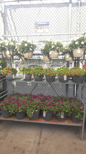 Department Store «Walmart Supercenter», reviews and photos, 9451 FM 1960 Bypass Rd E, Humble, TX 77338, USA