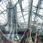 Photo n° 17 de l'avis de BaichereC. fait le 19/08/2023 à 11:19 pour ZooParc de Beauval à Saint-Aignan