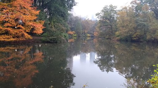 Zoo «Central Park Zoo», reviews and photos, E 64th St & 5th Ave, New York, NY 10021, USA