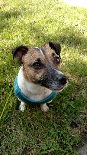 Pet Supply Store «Huron Pet Supply», reviews and photos, 5060 Jackson Rd, Ann Arbor, MI 48103, USA