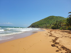 Foto di Playa Cayo Prieto con una costa spaziosa