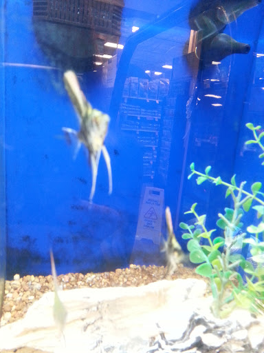 Pet Supply Store «PetSmart», reviews and photos, 476 Corwin Nixon Blvd, South Lebanon, OH 45065, USA