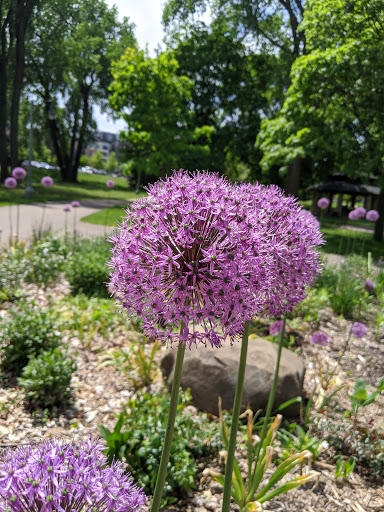 Park «Bass Lake Park», reviews and photos, 3450 Glenhurst Ave, Minneapolis, MN 55416, USA